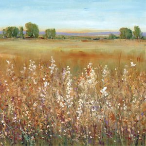 Abundance of Wildflowers II by Tim O'Toole Oil Painting