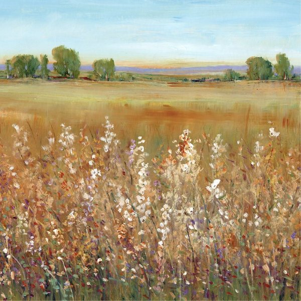 Abundance of Wildflowers II by Tim O'Toole - Hand-Painted Oil Painting Reproduction