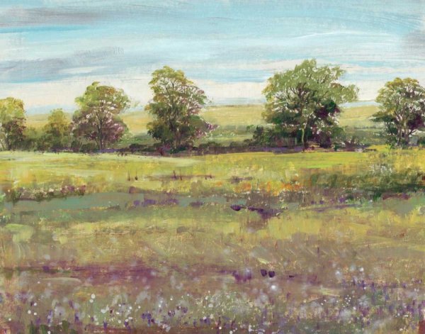 Main Product Photo of Abundant Spring I Painting by Tim O'Toole