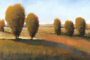 Afternoon Light I by Tim O'Toole Oil Painting