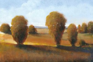 Afternoon Light II by Tim O'Toole Oil Painting