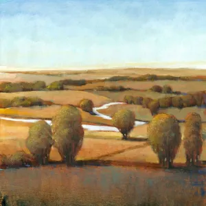Afternoon Light III Oil Painting by Tim O'Toole - Contemporary