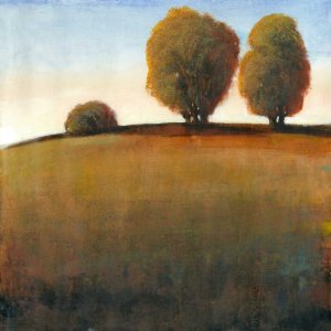 Afternoon Light IV Oil painting by Tim O'Toole