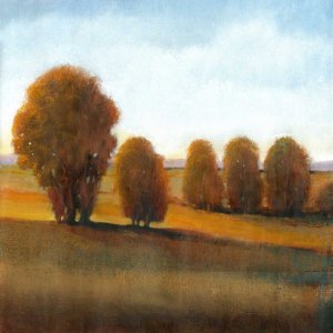 Afternoon Light VI by Tim O'Toole Oil Painting