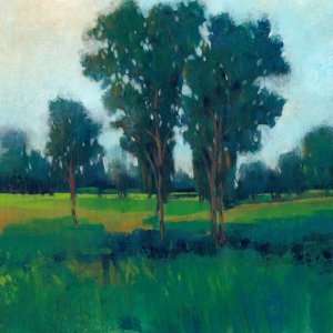 Afternoon Sun II Oil painting by Tim O'Toole