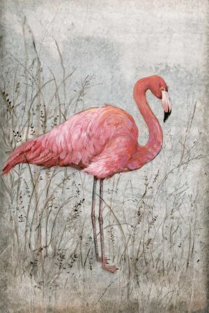 American Flamingo I by Tim O'Toole Oil Painting