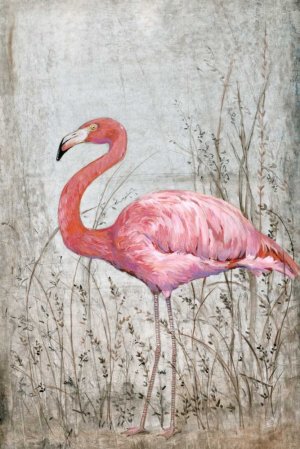 American Flamingo II by Tim O'Toole Oil Painting