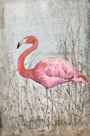 American Flamingo II Oil Painting by Tim O'Toole - Bestsellers