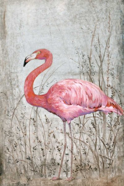 Main Product Photo of American Flamingo II Painting by Tim O'Toole