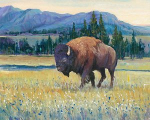 Animals of the West II by Tim O'Toole Oil Painting