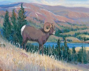 Animals of the West III by Tim O'Toole Oil Painting
