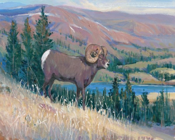 Main Product Photo of Animals of the West III Painting by Tim O'Toole