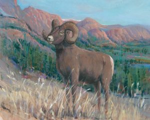 Animals of the West IV by Tim O'Toole Oil Painting