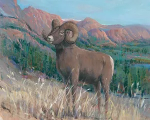 Animals of the West IV Oil Painting by Tim O'Toole - Bestsellers