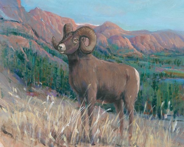 Main Product Photo of Animals of the West IV Painting by Tim O'Toole