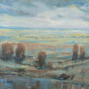 Approaching Storm I by Tim O'Toole Oil Painting