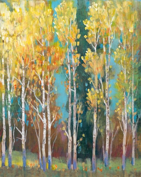 Main Product Photo of Aspen Grove I Painting by Tim O'Toole
