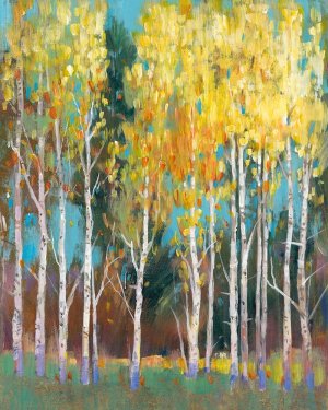 Aspen Grove II by Tim O'Toole Oil Painting