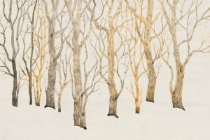 Bare Trees I by Tim O'Toole Oil Painting