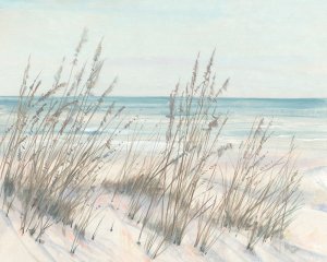 Beach Grass I Oil painting by Tim O'Toole