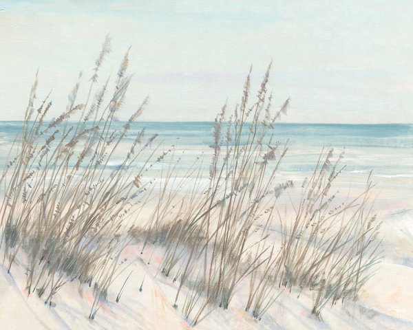 Beach Grass I by Tim O'Toole - Hand-Painted Oil Painting Reproduction