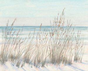 Beach Grass II by Tim O'Toole Oil Painting