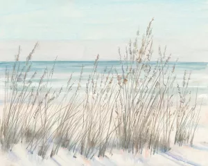 Beach Grass II Oil Painting by Tim O'Toole - Contemporary