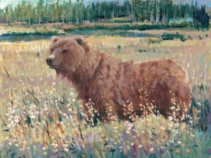 Bear in the Field by Tim O'Toole Oil Painting