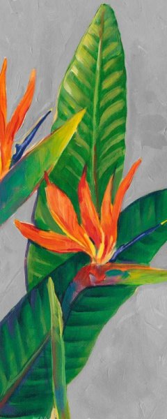 Bird of Paradise Triptych III Oil painting by Tim O'Toole