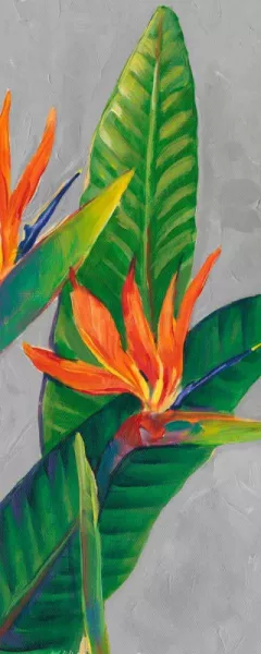 Bird of Paradise Triptych III by Tim O'Toole Oil Painting