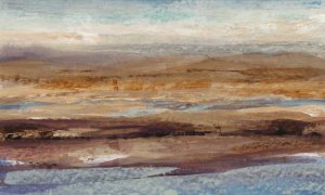 Bird's Eye View II by Tim O'Toole Oil Painting