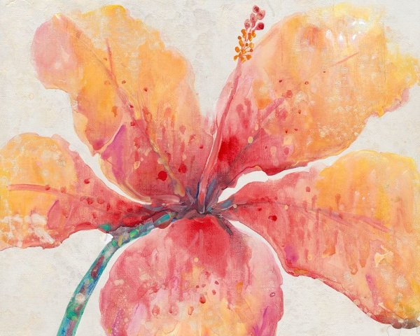 Blooming Hibiscus by Tim O'Toole - Hand-Painted Oil Painting Reproduction