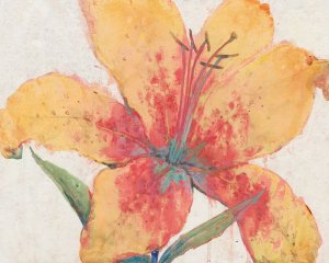 Blooming Lily Oil painting by Tim O'Toole