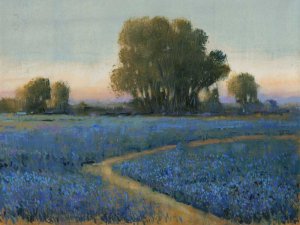 Blue Bonnet Field I Oil painting by Tim O'Toole