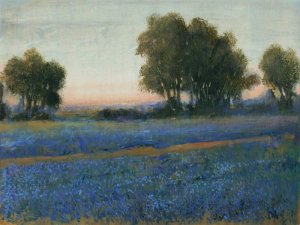 Blue Bonnet Field II by Tim O'Toole Oil Painting