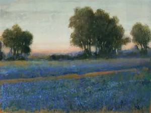 Blue Bonnet Field II by Tim O'Toole Oil Painting