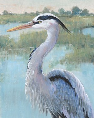 Blue Heron Portrait I by Tim O'Toole Oil Painting