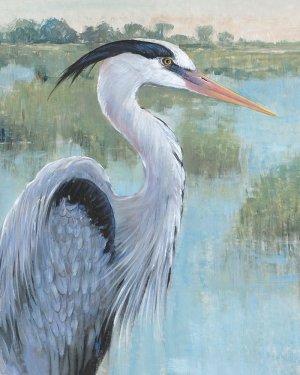 Blue Heron Portrait II by Tim O'Toole Oil Painting
