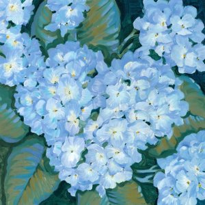 Blue Hydrangeas II by Tim O'Toole Oil Painting