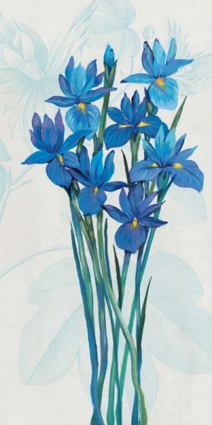 Blue Iris Panel II by Tim O'Toole - Hand-Painted Oil Painting Reproduction
