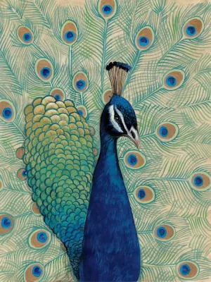 Blue Peacock I Oil Painting by Tim O'Toole - Contemporary