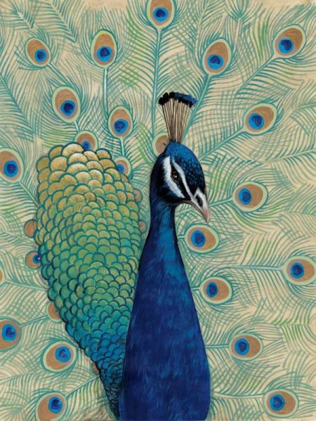 Main Product Photo of Blue Peacock I Painting by Tim O'Toole