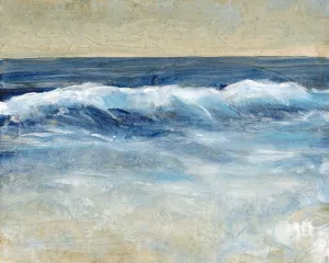 Breaking Shore Waves II by Tim O'Toole Oil Painting