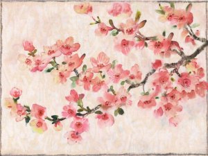 Cherry Blossom Composition I by Tim O'Toole Oil Painting