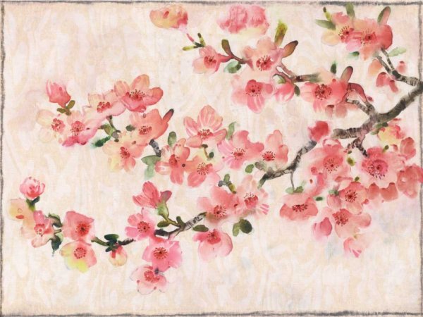 Main Product Photo of Cherry Blossom Composition I Painting by Tim O'Toole