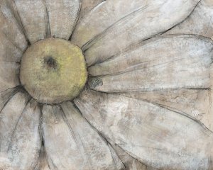 Close-Up Daisy I by Tim O'Toole Oil Painting