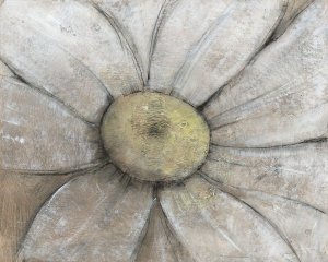Close-Up Daisy II by Tim O'Toole Oil Painting