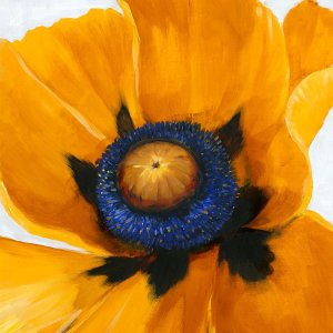 Close-Up I by Tim O'Toole Oil Painting