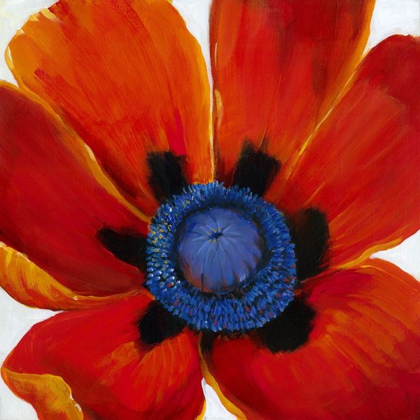 Main Product Photo of Close-Up II Painting by Tim O'Toole