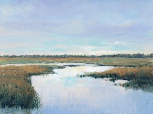 Coastal Plains I by Tim O'Toole Oil Painting